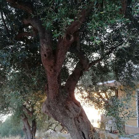 Taverna Catena Brusciano المظهر الخارجي الصورة