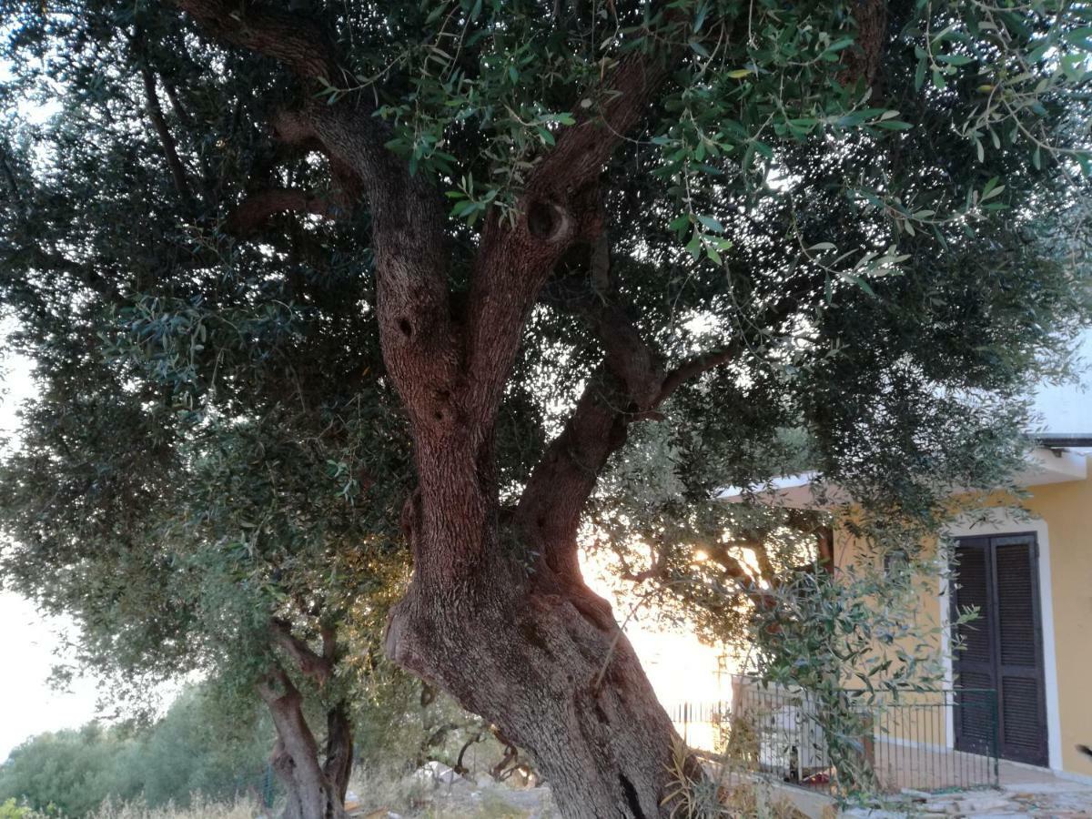 Taverna Catena Brusciano المظهر الخارجي الصورة
